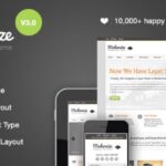 Modernize - Flexibility of WordPress