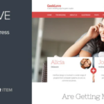 GeekLove - A Responsive WordPress Wedding Theme