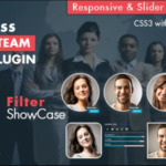 My Team Showcase WordPress Plugin