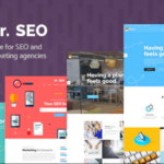 Mr. SEO - Social Media Marketing Agency Theme