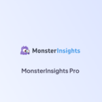 MonsterInsights Pro
